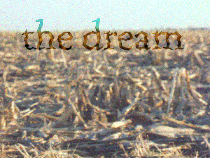 the dream poem title in a field
