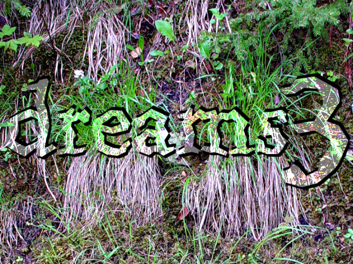 Dreams 3 title from show
