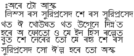 Have To Ask (in Bengali)